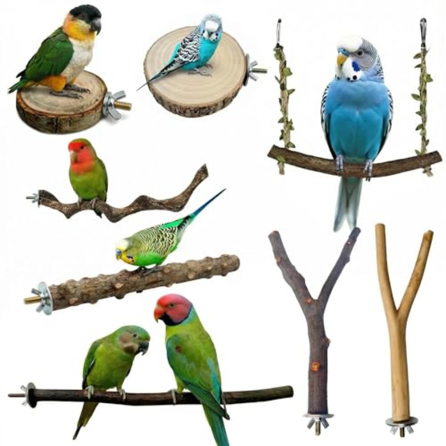8PCS natural wood bird perches - огляд і ціна Health & Wellness Unlimited